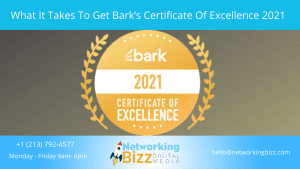 What It Takes To Get Bark’s Certificate Of Excellence 2021