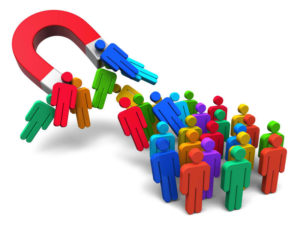 networking bizz website experts » 1